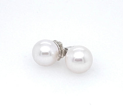 Freshwater White Pearl Stud earrings in Argentium silver